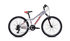 Fuji Dynamite 24 Sport Mountain Bike Silver