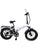 Sgvbicycles Bikes Sgvbicycles 48V 750W13AH 20
