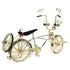 20" Lowrider Collection Bicycle Complete Bike Gold/Chrome