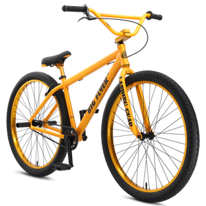 2019 diagostic se big flyer