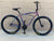 SGV Bicycles  Sgvbicycles Abraham The Warrior 26 Klunker Bike Oil Slick Neo Chrome